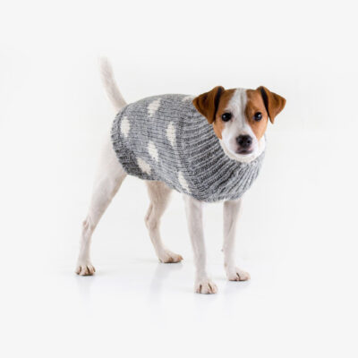 Crochet Dog Sweater